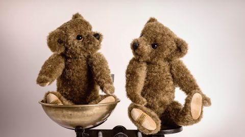 Loyal. Resilient. Trustworthy.