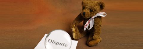 Dispute Resolution Services