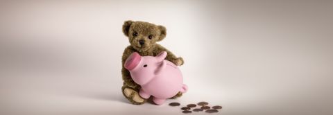 Insolvency & Bankruptcy